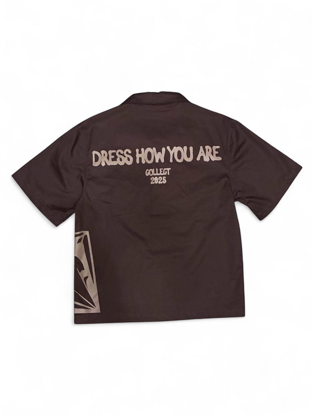 VETERAN CAMISA MARRÓN